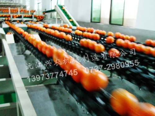 水果分選機(jī)分類功能簡(jiǎn)單介紹